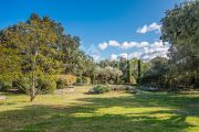 Gordes - Stone walls property - photo5