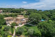 Les Parcs de Saint-Tropez - Villa with an extensive park - photo4