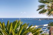 Cannes - Basse Californie - Magnificent rooftop villa - photo2