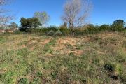 Close to Cannes - Broad plot of land in Tanneron - photo8