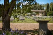 Close to Aix-en Provence - Exceptional domain - photo9