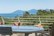 Cannes - Croisette - Spacious apartment - photo5