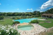 Alpilles - Wonderful olive farm property - photo3