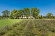 Close to Saint-Rémy de Provence - Mas in countryside - photo9