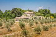 Close to Gordes - Magnificent restored Mas among olive trees - photo2