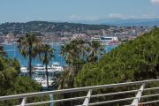 Cannes - Croisette - Spacious apartment - photo4