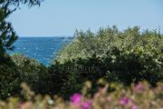 Cap d'Antibes - Splendid property - photo8