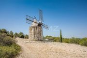 Fontvieille - Windmill - photo1