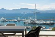 Cannes - Croisette - Unique Penthouse - photo3