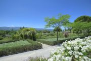 Luberon - Stunning property with views - photo8