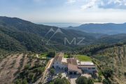 Close to Cannes - Tanneron - Exceptional family property - photo2