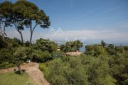 Cap D'Antibes - Exceptional property - photo4