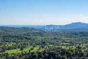 Cannes backcountry - Superb authentic property - photo4